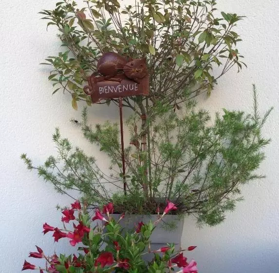 Aamiaismajoitus (B&B) Du Côté De Chez Paule, Chambre Avec Entrée Indépendante Et Salle D Eau Privative