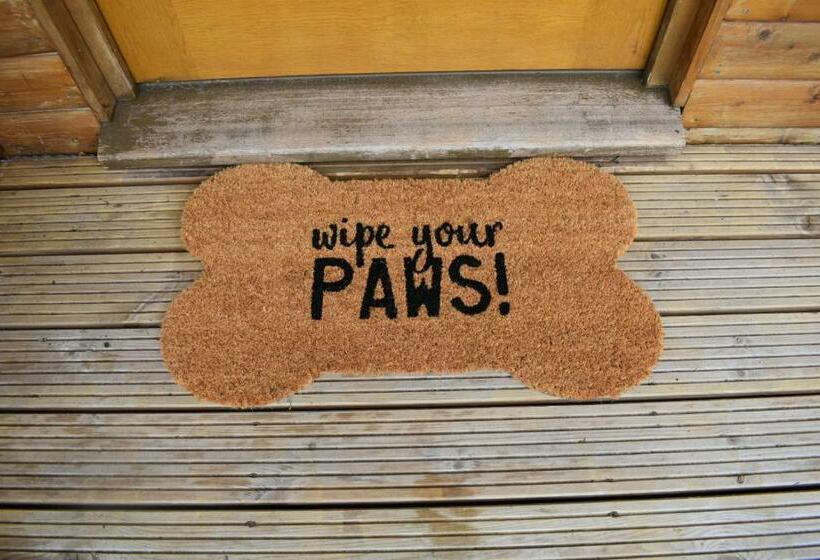 住宿加早餐 Lyonshall Lodge