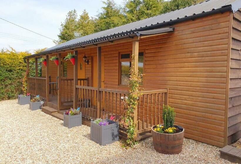 住宿加早餐 Lyonshall Lodge