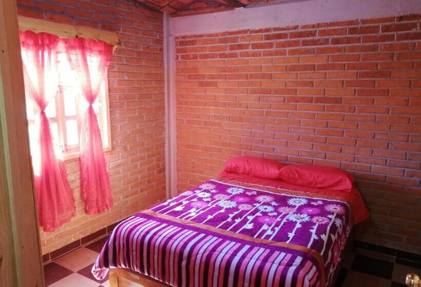 酒店 Cabañas Tlaxco La Loma