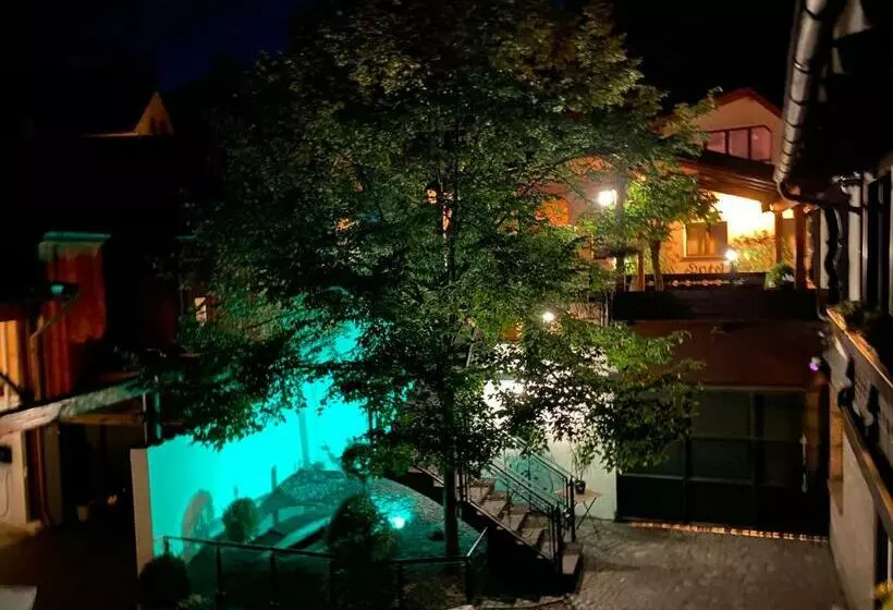 Hotelli Restaurant Zur Traube