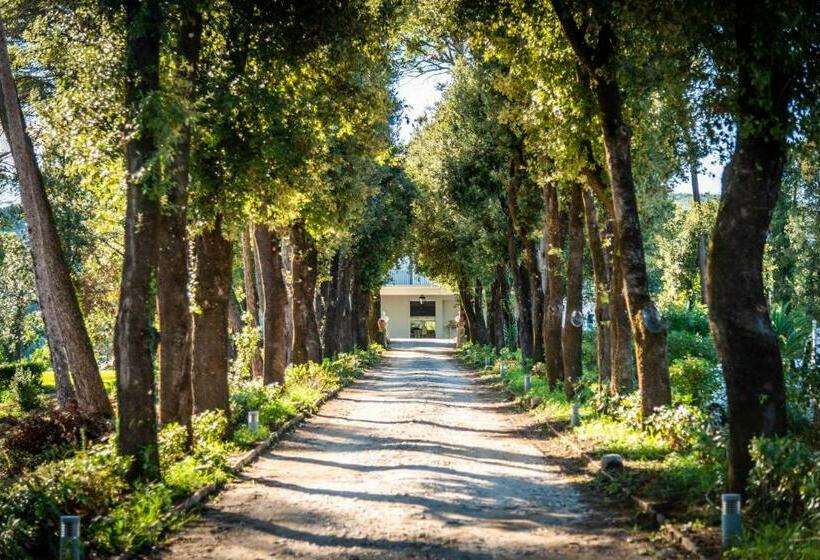 אתר נופש Villa Ortensia D Avalos