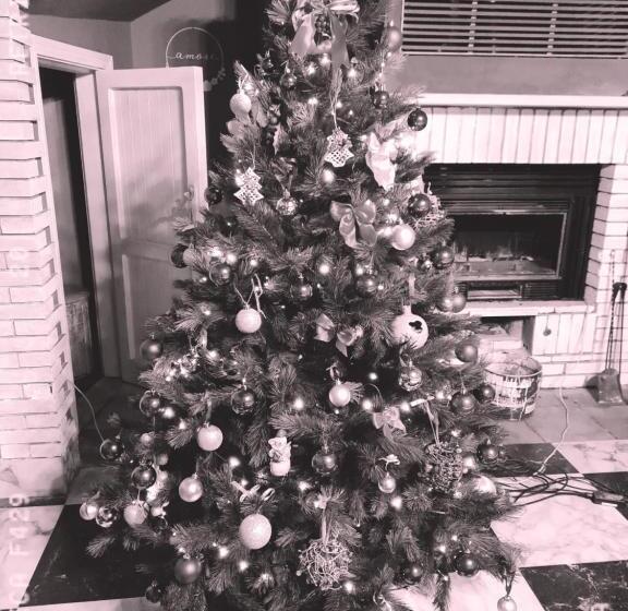 مبيت وإفطار La Gallina Nel Castello Citr Oo9002 Beb Oo11