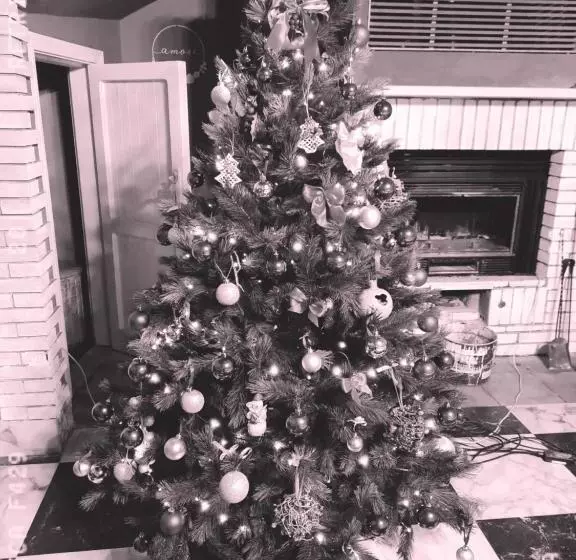 ベッドアンドブレックファースト La Gallina Nel Castello Citr Oo9002 Beb Oo11