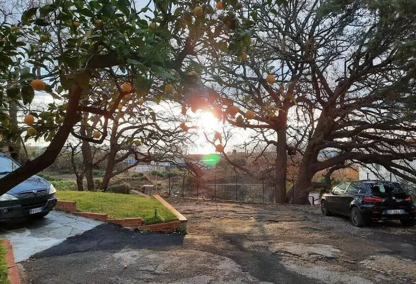 ベッドアンドブレックファースト La Gallina Nel Castello Citr Oo9002 Beb Oo11