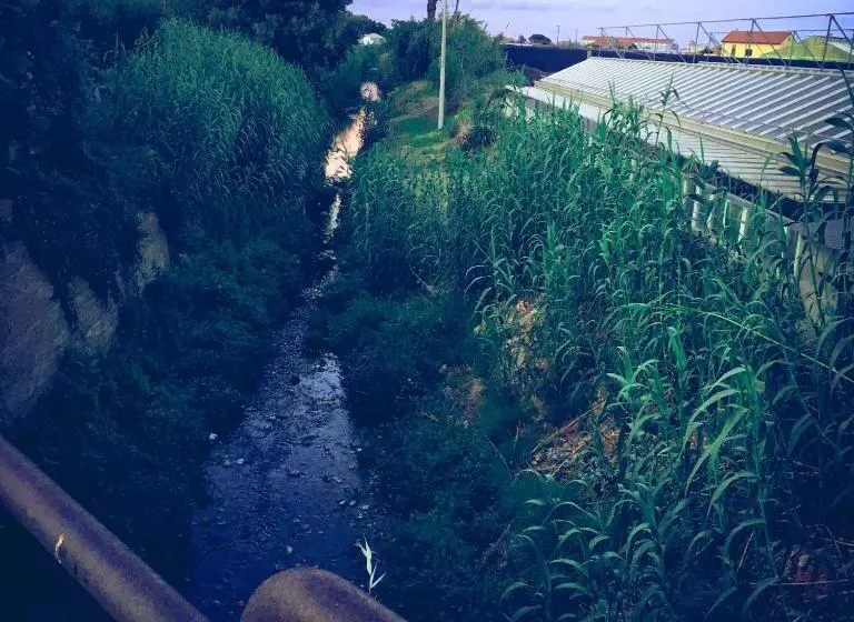 ベッドアンドブレックファースト La Gallina Nel Castello Citr Oo9002 Beb Oo11