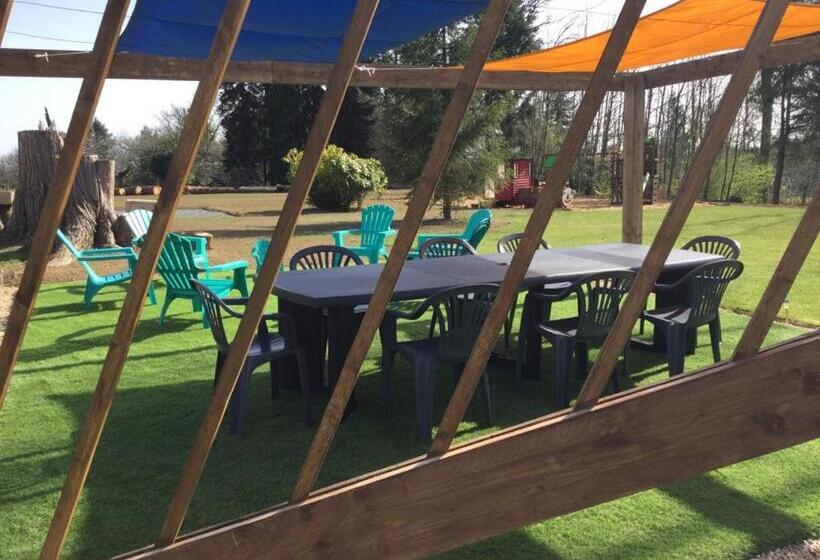 مبيت وإفطار Lime Trees