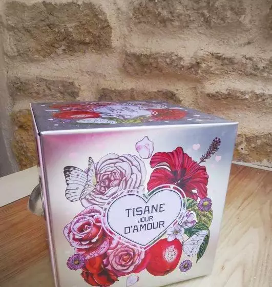 ペンション Chambre D Hote De Charme Avec Plein D Authenticité Du 13 ème Siècle