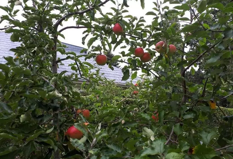 Majatalo Studio La Rotonde