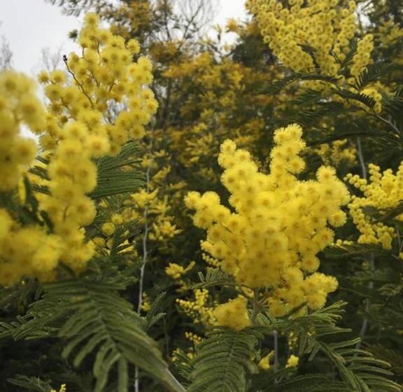 مبيت وإفطار Chambre D’hôtes Vaucluse