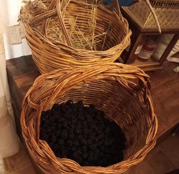 ベッドアンドブレックファースト La Casa Dalle Finestre Blu