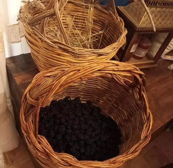 Aamiaismajoitus (B&B) La Casa Dalle Finestre Blu