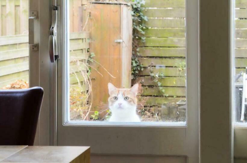 ベッドアンドブレックファースト Marijke S Guestroom