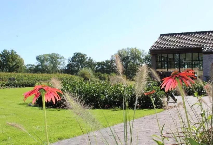 Elvier B&b