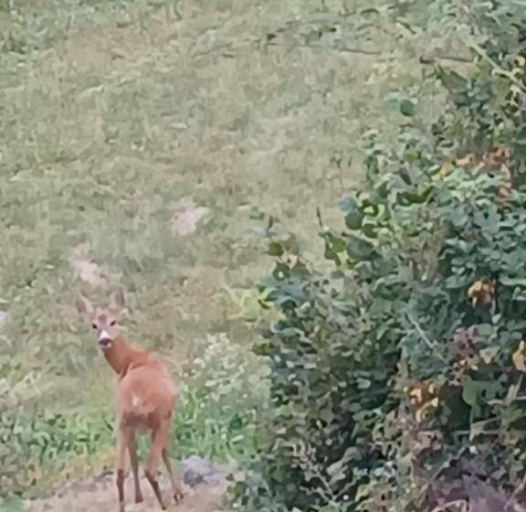 בית מלון כפרי Open Cascina