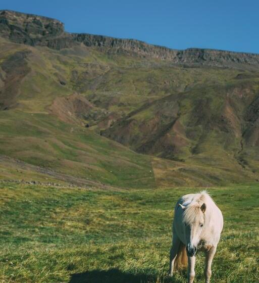 پانسیون Hvammur 2 Guesthouse