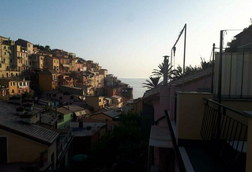 پانسیون Il Cavalluccio Marino