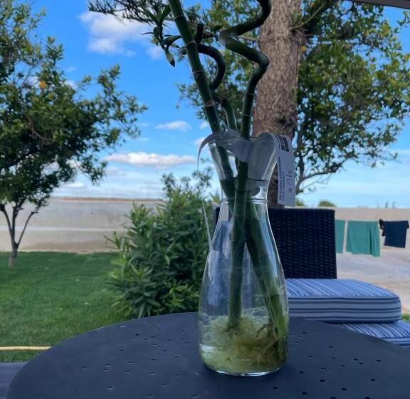 پانسیون Kerart House