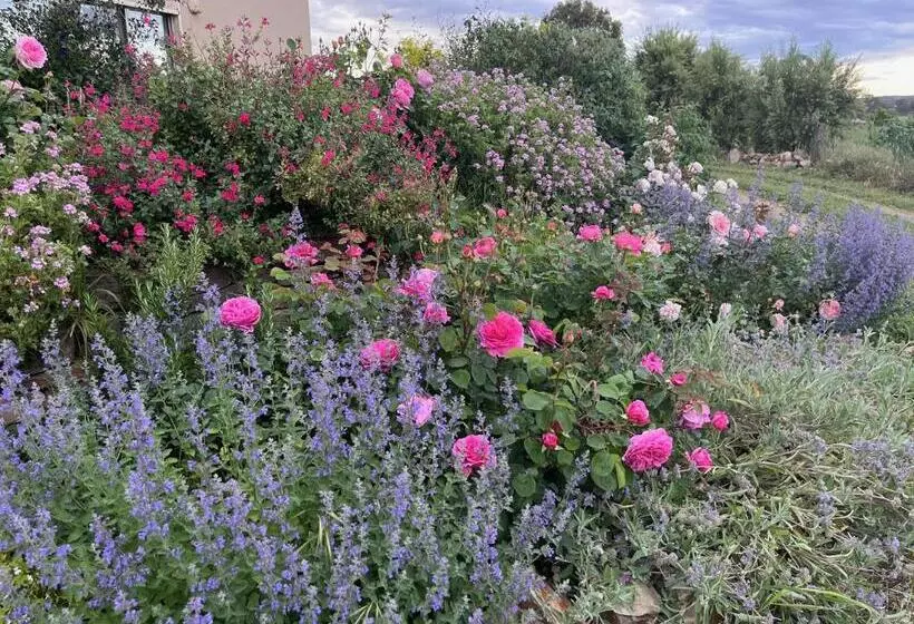 Majatalo Meander Retreat   The Green Room