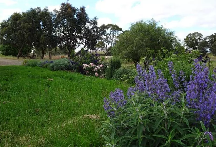 Majatalo Meander Retreat   The Green Room