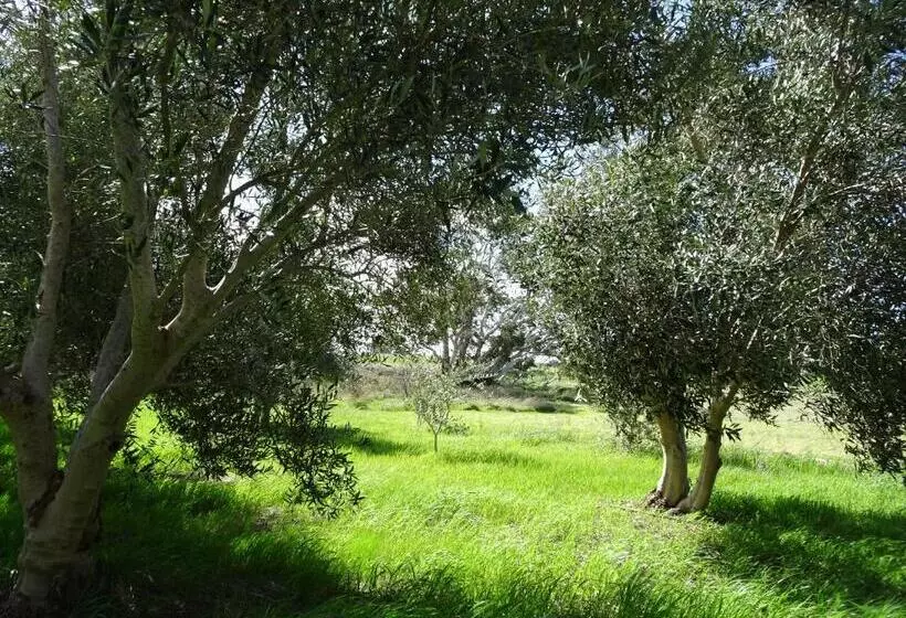 Majatalo Meander Retreat   The Green Room