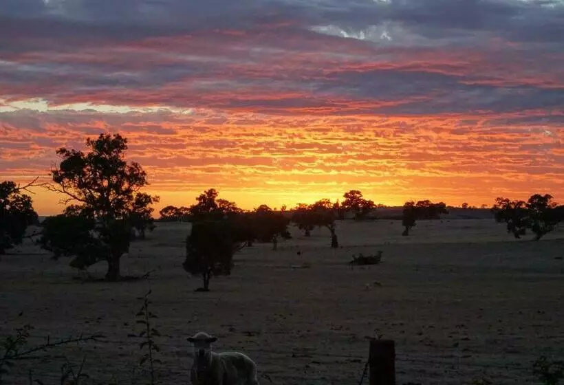 Majatalo Meander Retreat   The Green Room