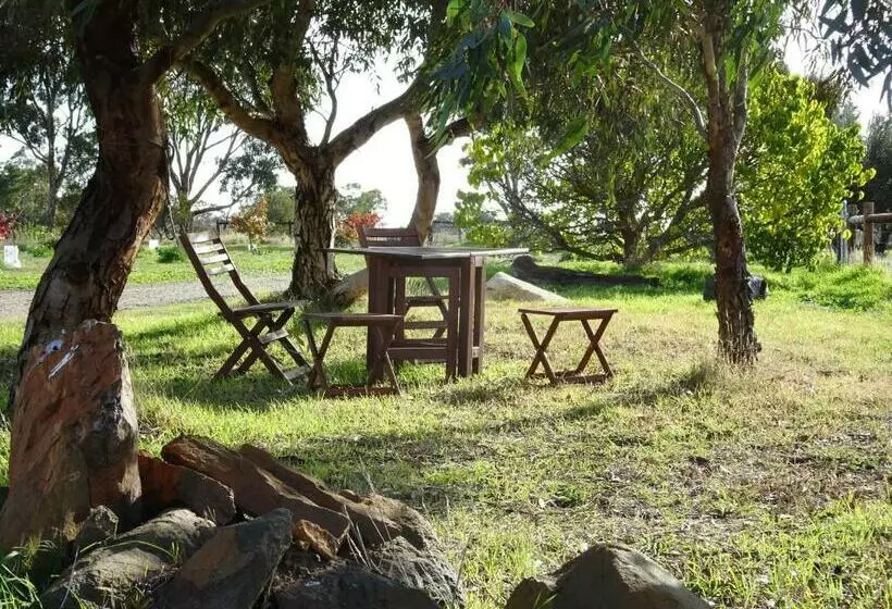 Majatalo Meander Retreat   The Green Room