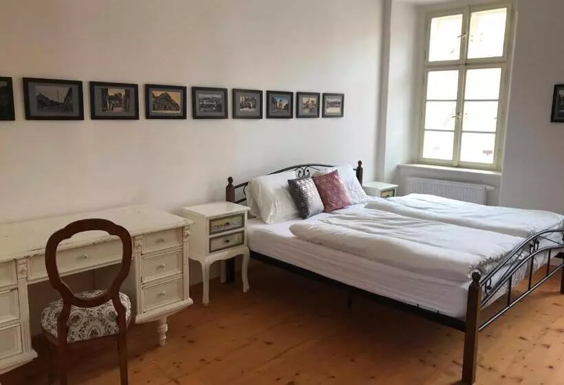 Majatalo Penzion U Synagogy