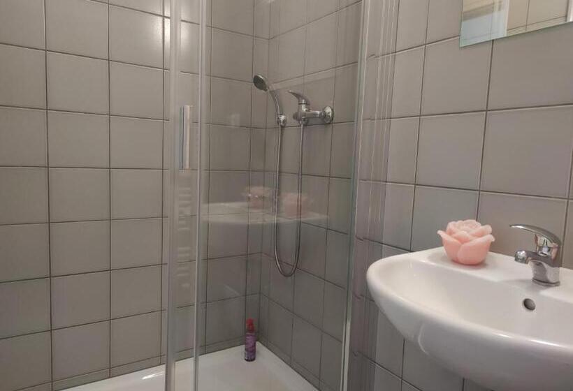 Majatalo Penzion U Synagogy