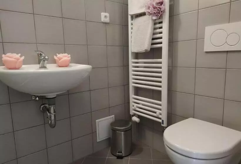 Majatalo Penzion U Synagogy