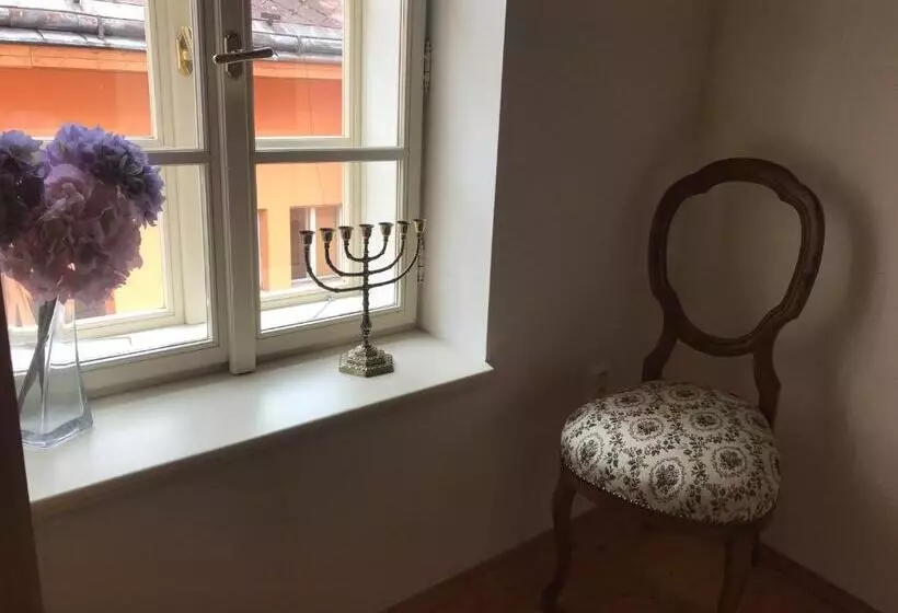 Majatalo Penzion U Synagogy