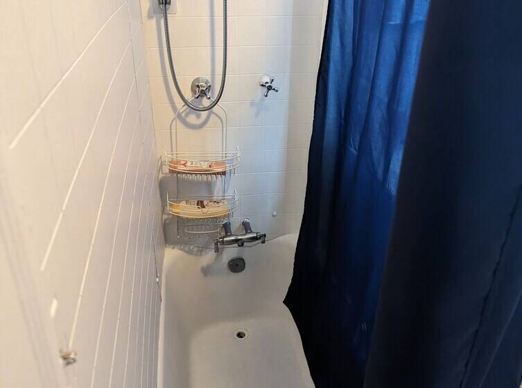 هتل کپسول Sunset Edwardian Bed And Breakfast At Golden Gate Park San Francisco