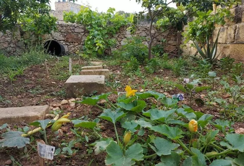 پانسیون Business Accommodation By Happy&healthy Gozo