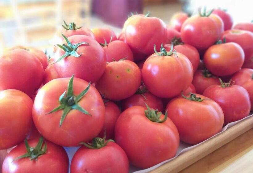 پانسیون Business Accommodation By Happy&healthy Gozo