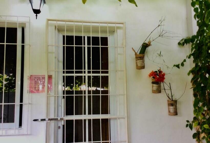 Pensió Orchidia House Santa Fe Bantayan Island