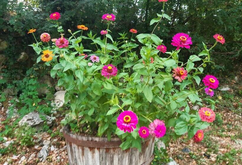 Пансион Ty Galis