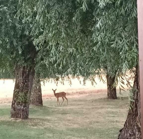 مبيت وإفطار Chez Magali