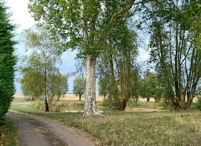 مبيت وإفطار Chez Magali