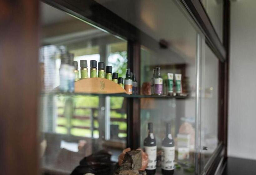 住宿加早餐  Haus Berchstein