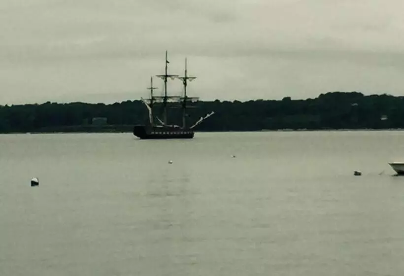 Aamiaismajoitus (B&B) Large Modern Private Suite By The Sea  Birders Paradise