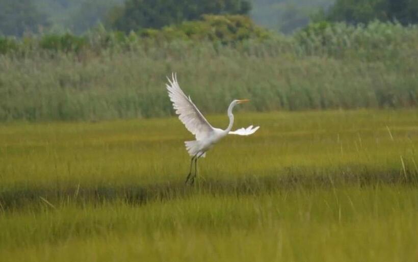 Bed and Breakfast Large Modern Private Suite By The Sea Birders Paradise