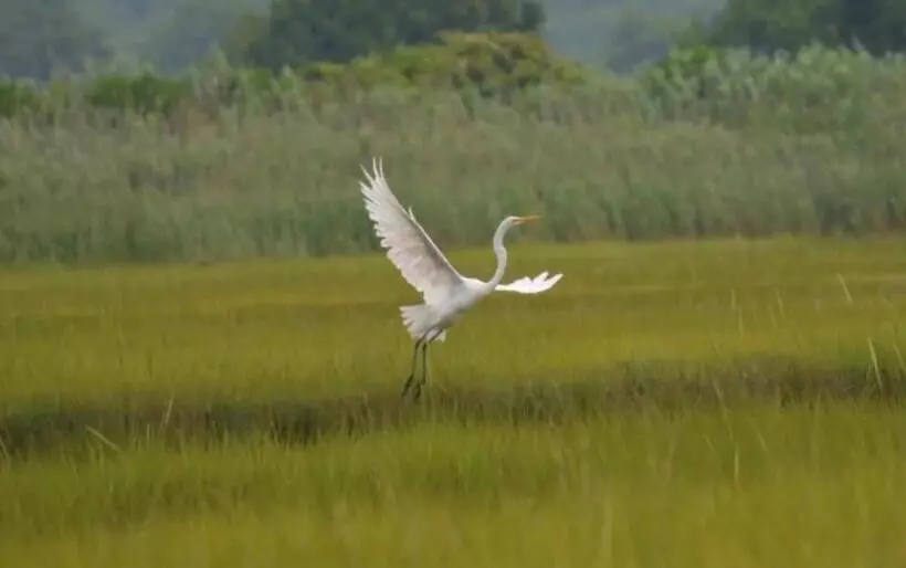Aamiaismajoitus (B&B) Large Modern Private Suite By The Sea  Birders Paradise