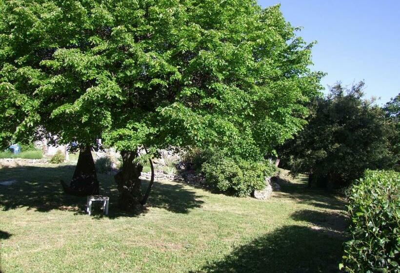 ベッドアンドブレックファースト Lou Viei Jas