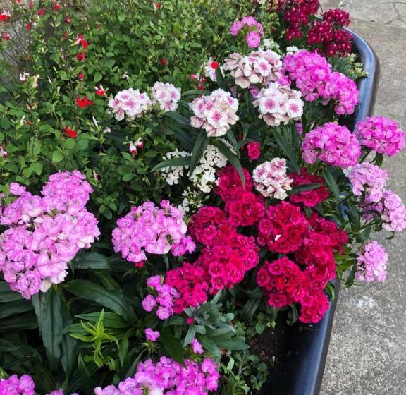 تختخواب و صبحانه White House Farm Beautiful Self Contained Courtyard Rooms