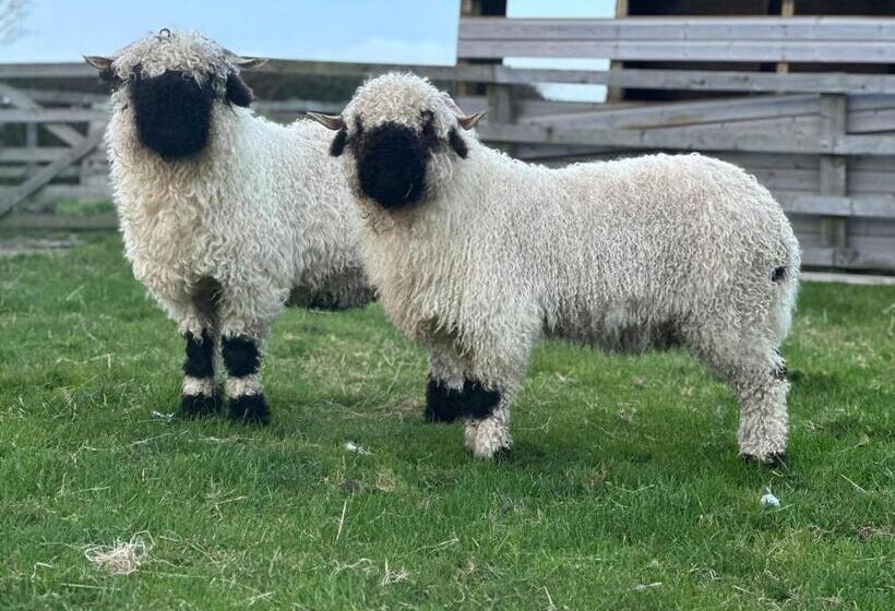 تختخواب و صبحانه White House Farm Beautiful Self Contained Courtyard Rooms