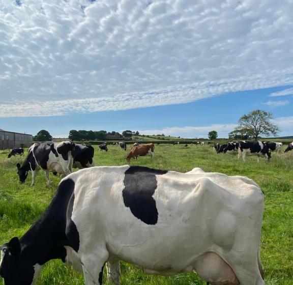 تختخواب و صبحانه White House Farm Beautiful Self Contained Courtyard Rooms