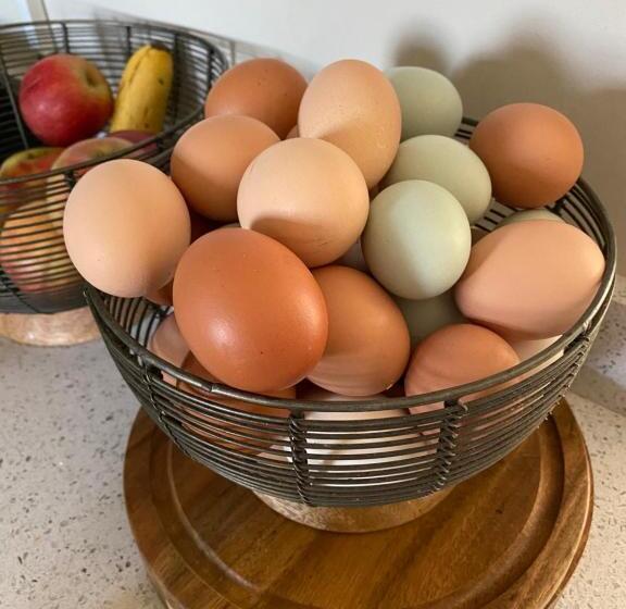 تختخواب و صبحانه White House Farm Beautiful Self Contained Courtyard Rooms