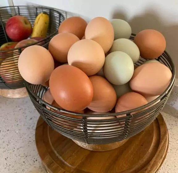 Aamiaismajoitus (B&B) White House Farm   Beautiful Self Contained Courtyard Rooms