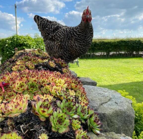 تختخواب و صبحانه White House Farm Beautiful Self Contained Courtyard Rooms