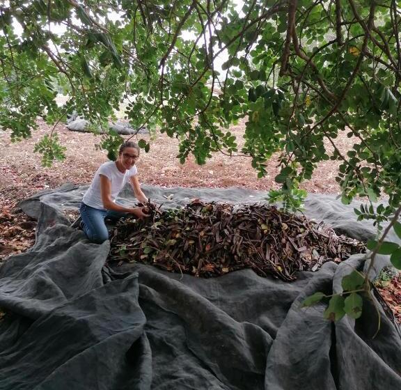 בית מלון כפרי Agriturismo Baglio Calanchi